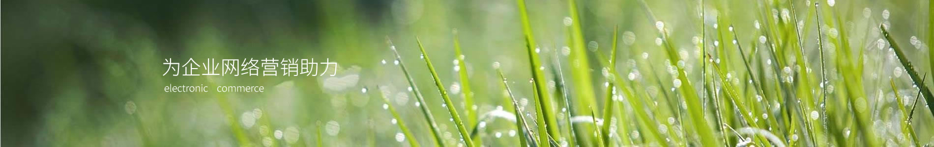 еްϢƼ޹˾